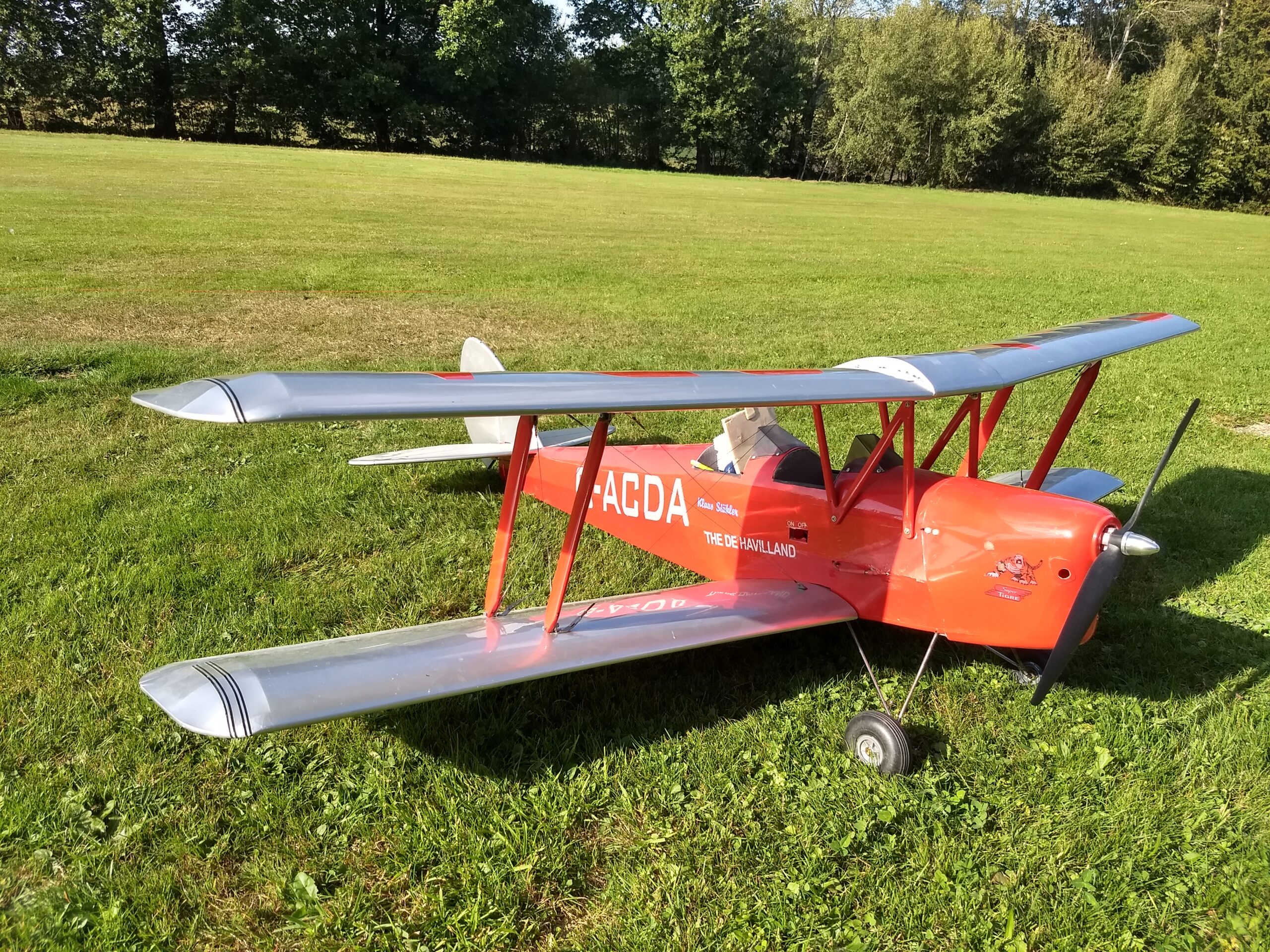 Read more about the article Tiger Moth